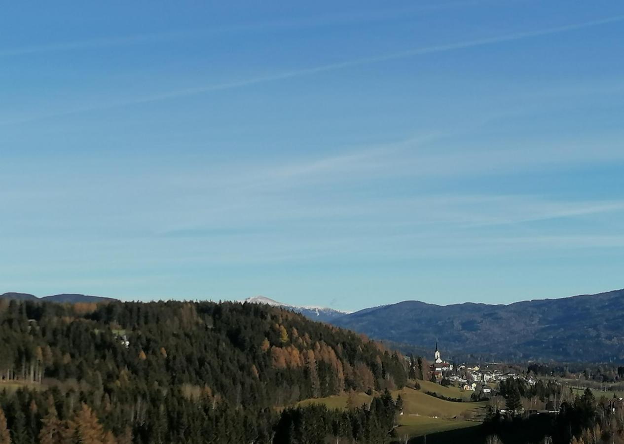 Appartamento Fanningerwirt Holzer Mariapfarr Esterno foto
