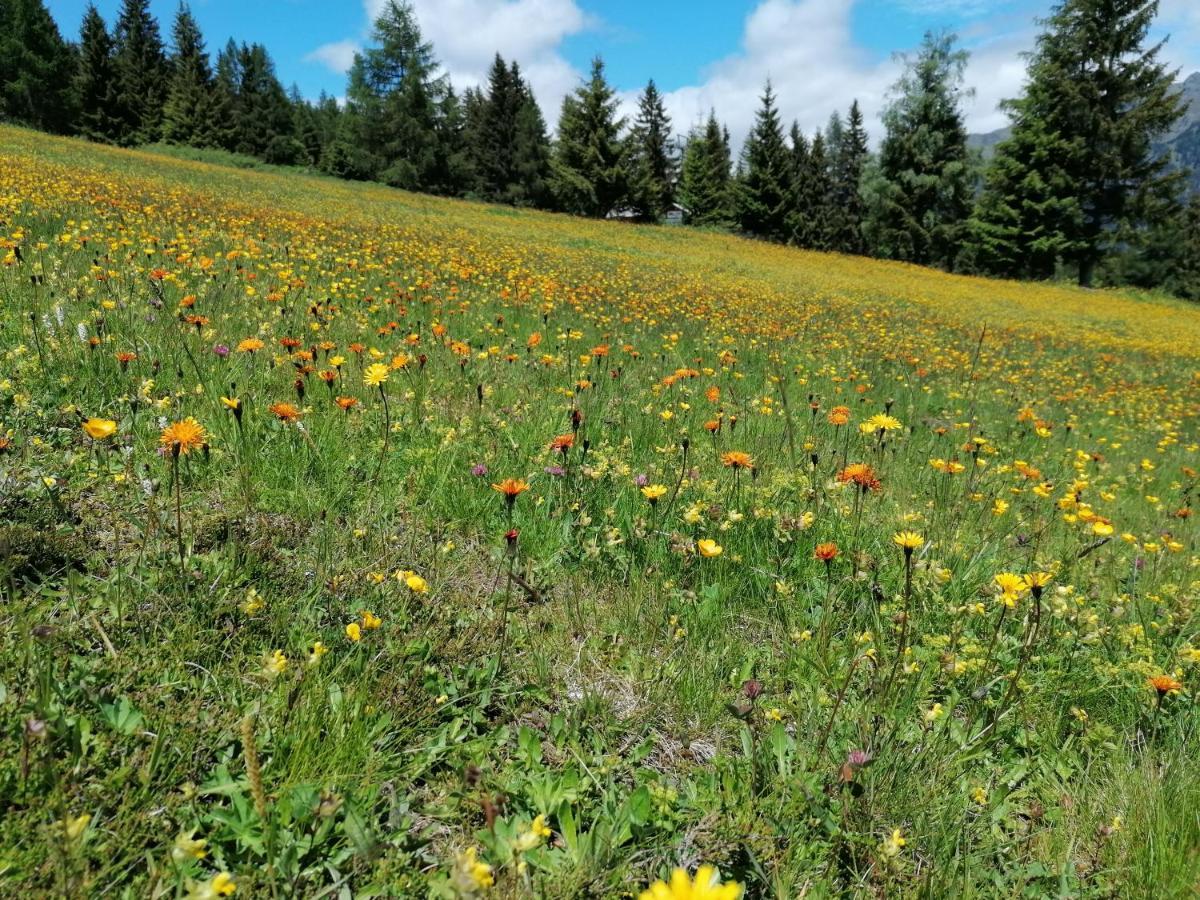 Appartamento Fanningerwirt Holzer Mariapfarr Esterno foto