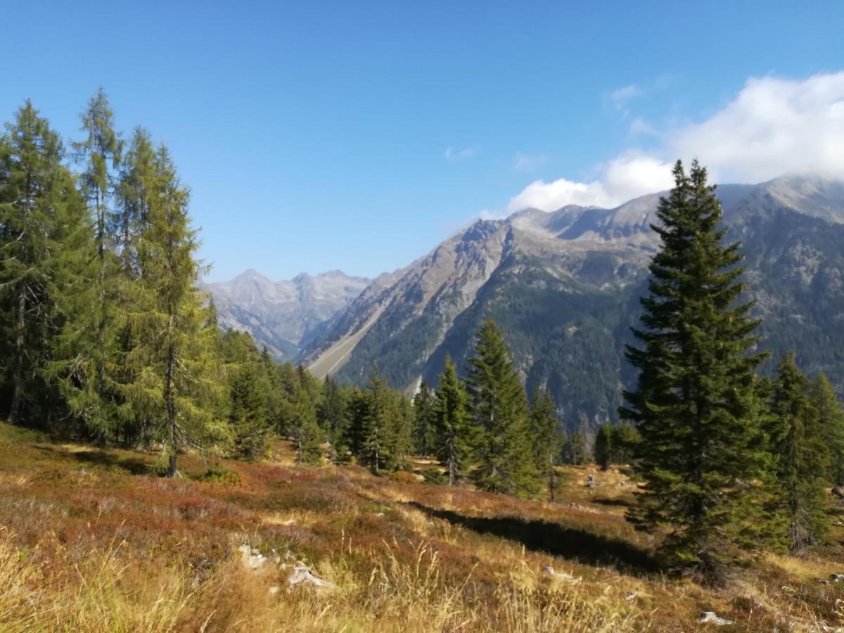 Appartamento Fanningerwirt Holzer Mariapfarr Esterno foto