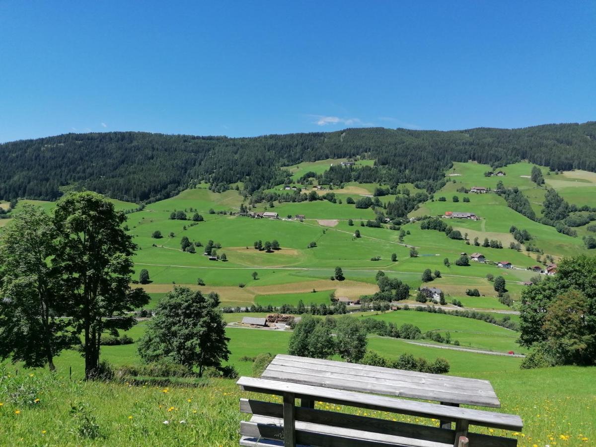 Appartamento Fanningerwirt Holzer Mariapfarr Esterno foto